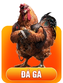 Sảnh đá gà nhà cái 789f