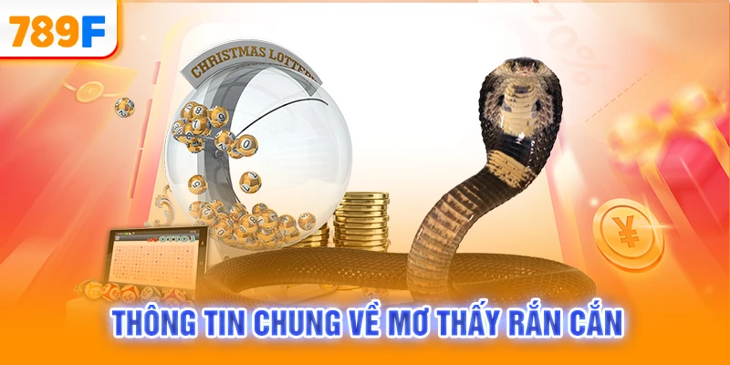 Thông tin chung về mơ thấy rắn cắn